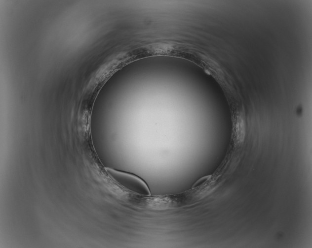 X0000116580525200912101543