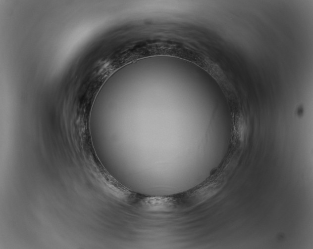 X0000116580526200912101543