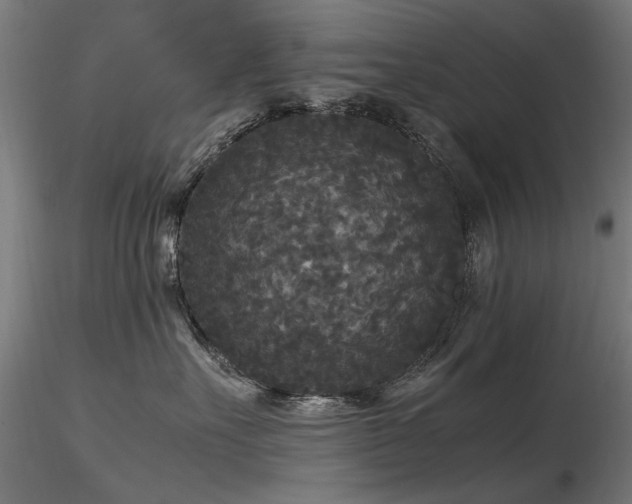 X0000116580527200912101543