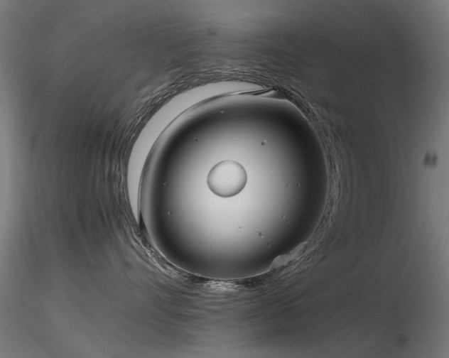 X0000116580528200912101543