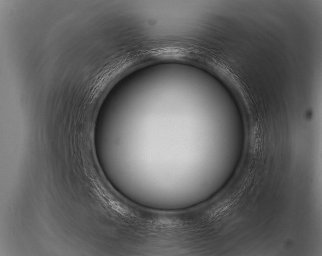 X0000116580529200912101542