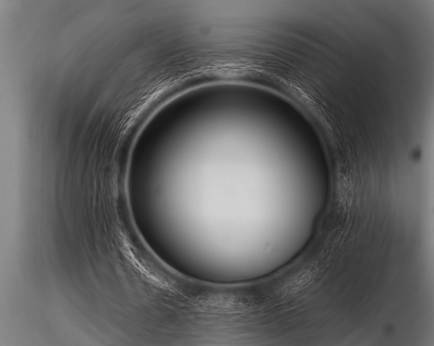 X0000116580530200912101542