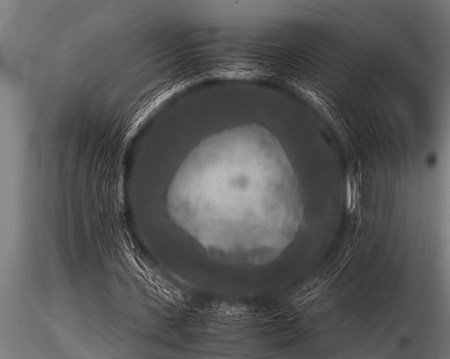 X0000116580531200912101542