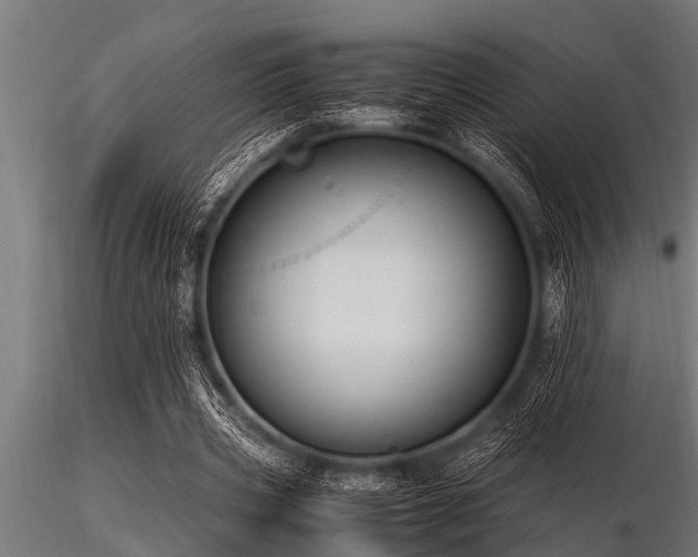 X0000116580533200912101542