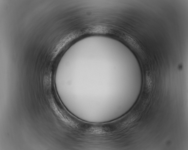 X0000116580534200912101542