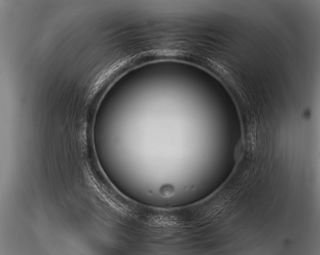 X0000116580535200912101542