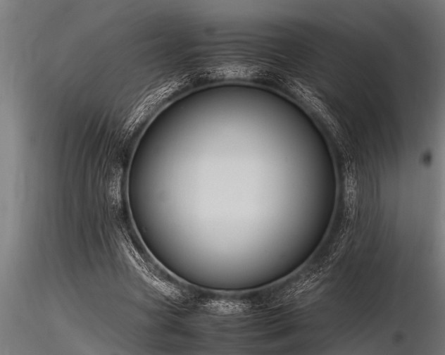 X0000116580537200912101542