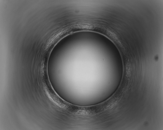 X0000116580538200912101542