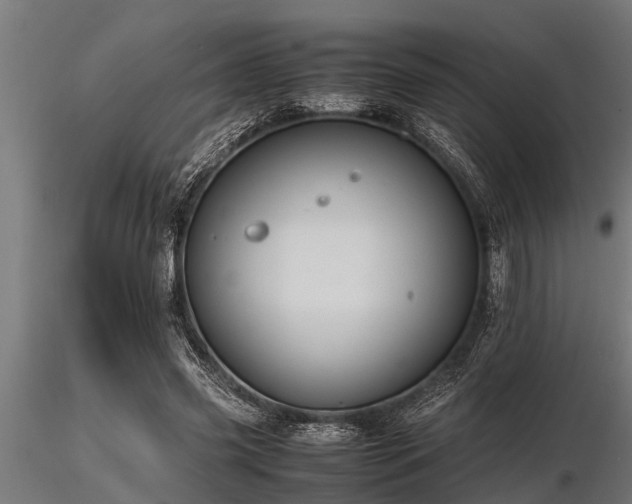 X0000116580541200912101542