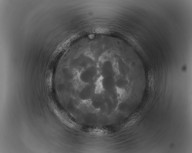 X0000116580542200912101542