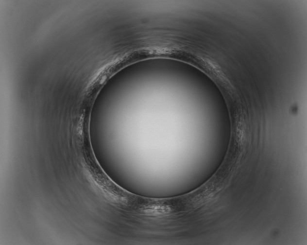 X0000116580543200912101542