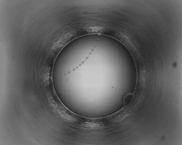 X0000116580545200912101543