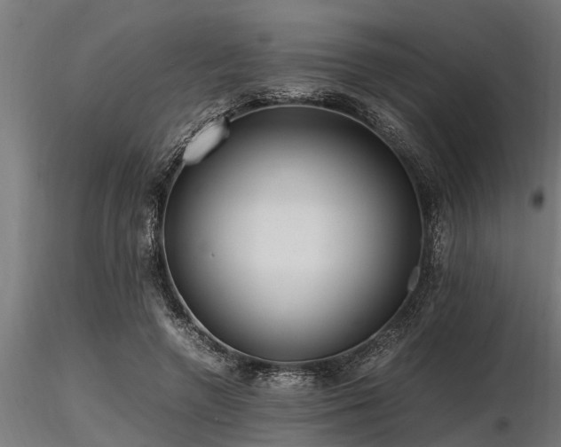 X0000116580546200912101543