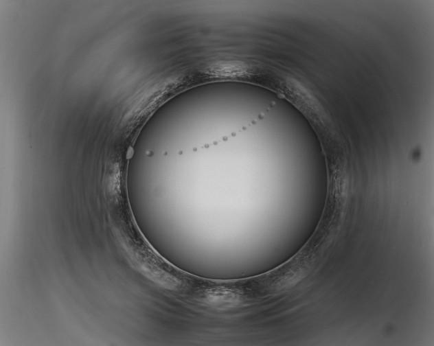 X0000116580549200912101543