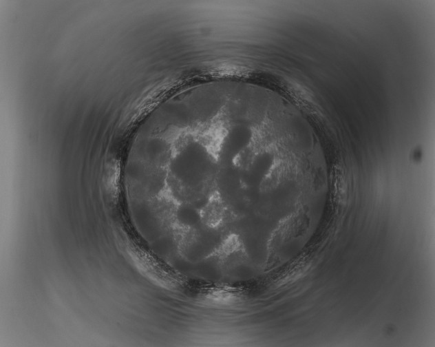 X0000116580550200912101543