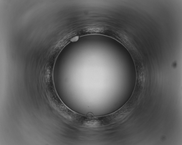 X0000116580551200912101543