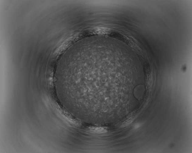 X0000116580553200912101543