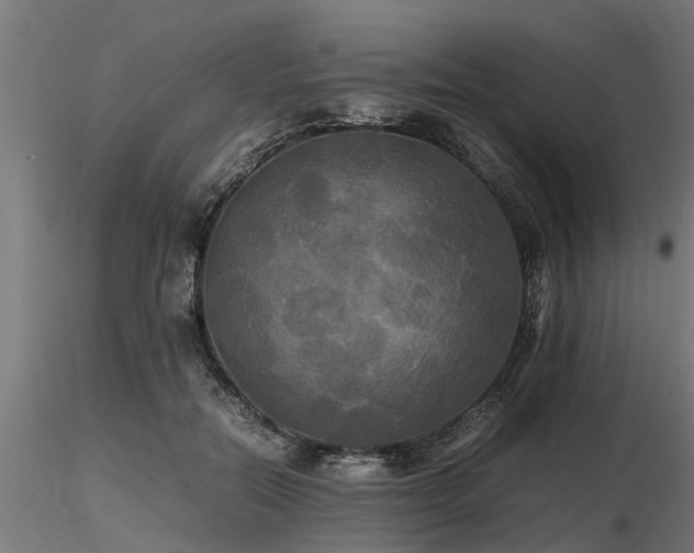 X0000116580554200912101543