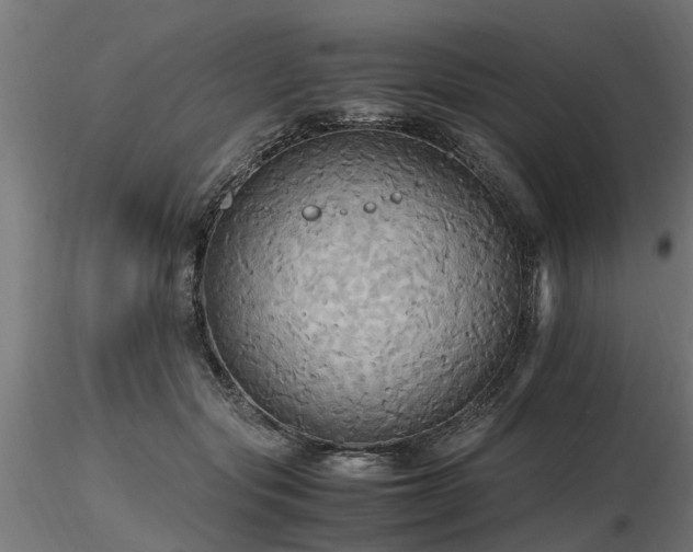 X0000116580557200912101543