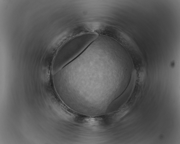 X0000116580558200912101543