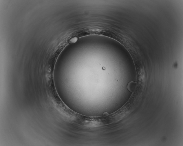 X0000116580559200912101543