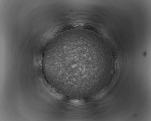 X0000116580561200912101543