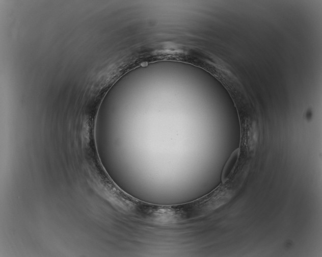 X0000116580562200912101543