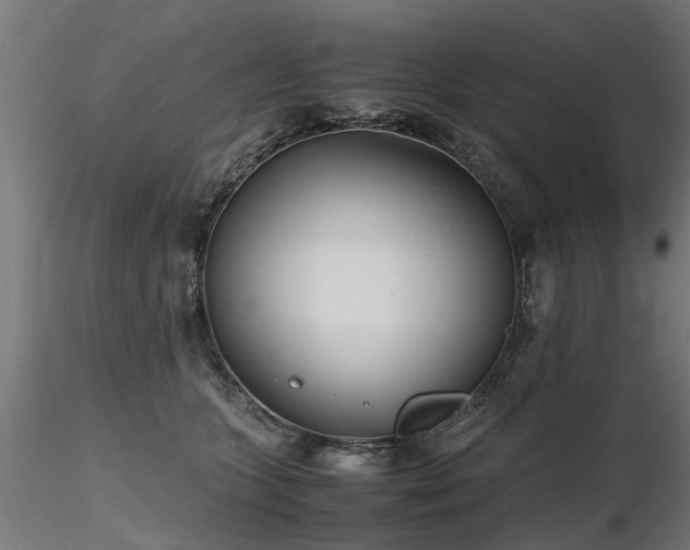 X0000116580563200912101543