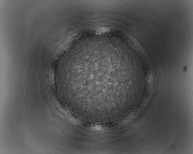 X0000116580565200912101543