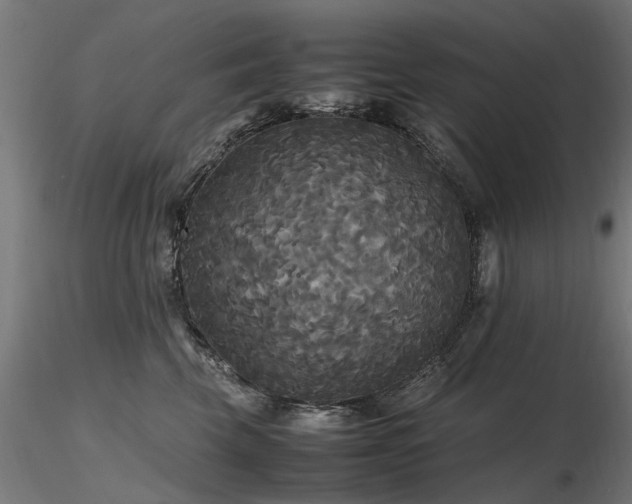 X0000116580569200912101543