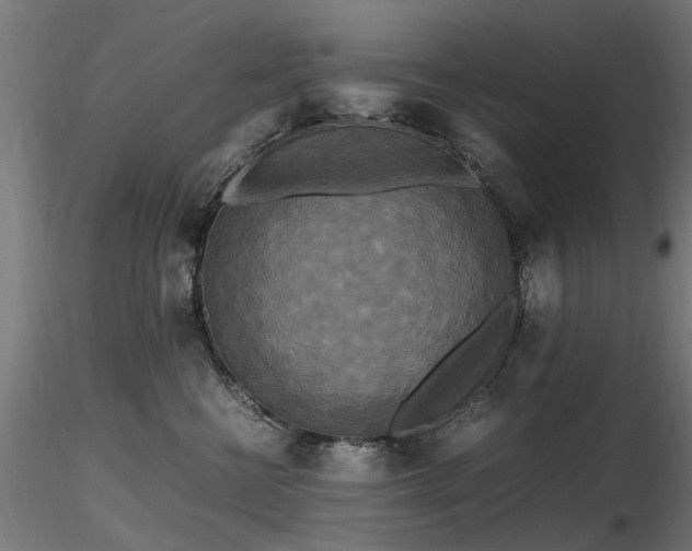 X0000116580570200912101543