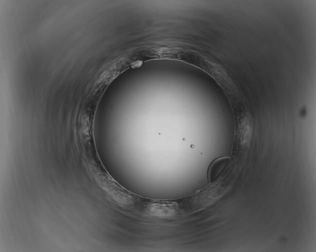 X0000116580571200912101543