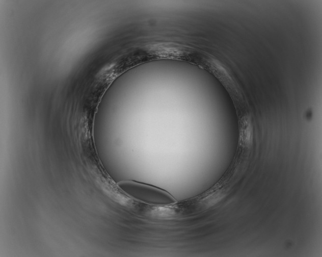 X0000116580573200912101543