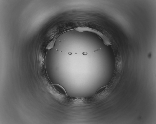 X0000116580574200912101543