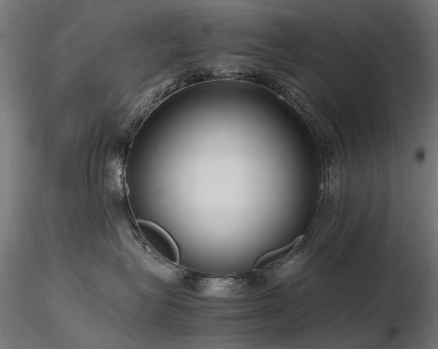 X0000116580575200912101543