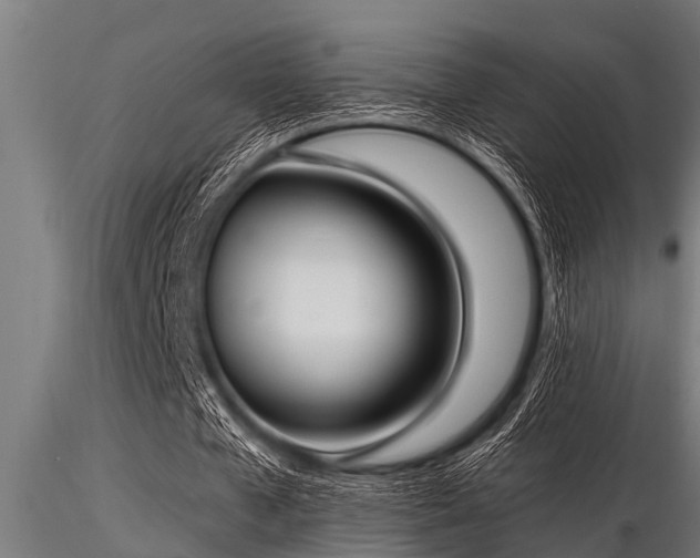 X0000116580577200912101542