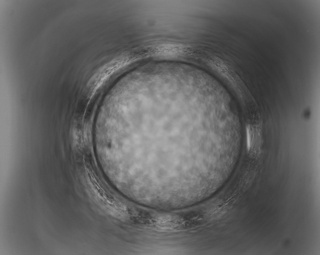 X0000116580579200912101542