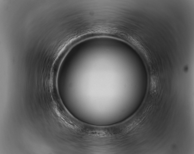 X0000116580580200912101542