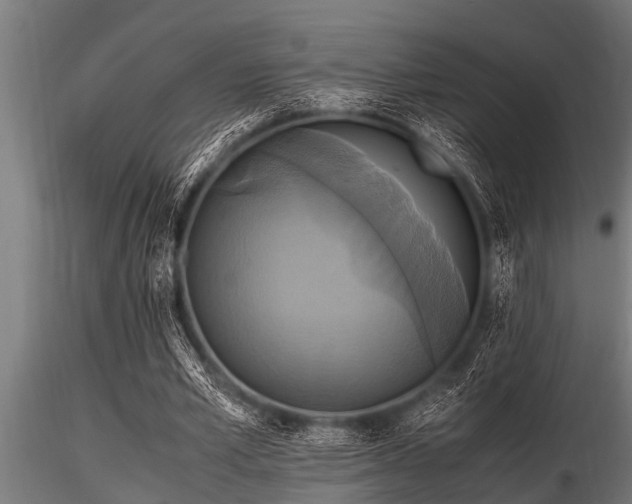 X0000116580581200912101542