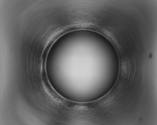 X0000116580582200912101542