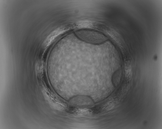 X0000116580583200912101542