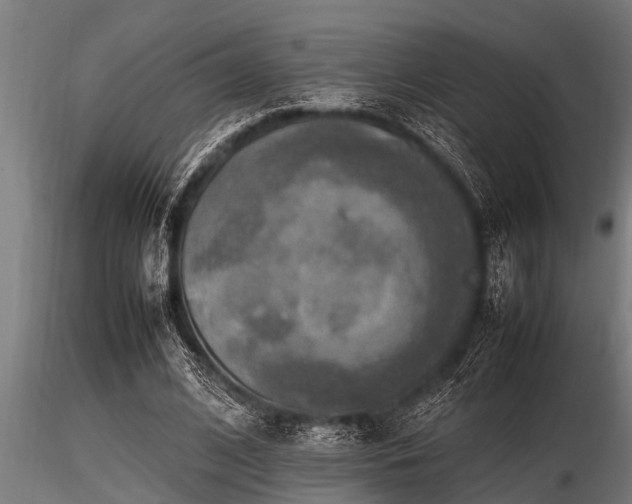 X0000116580584200912101542