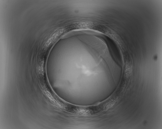 X0000116580585200912101542