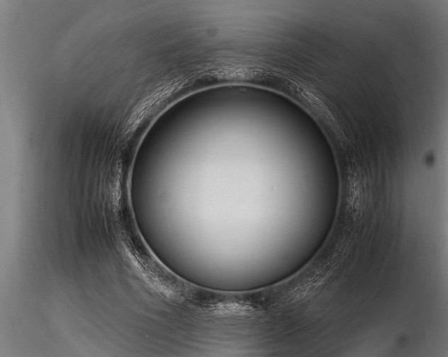 X0000116580586200912101542