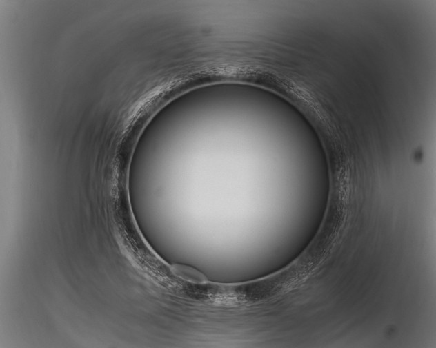 X0000116580587200912101542