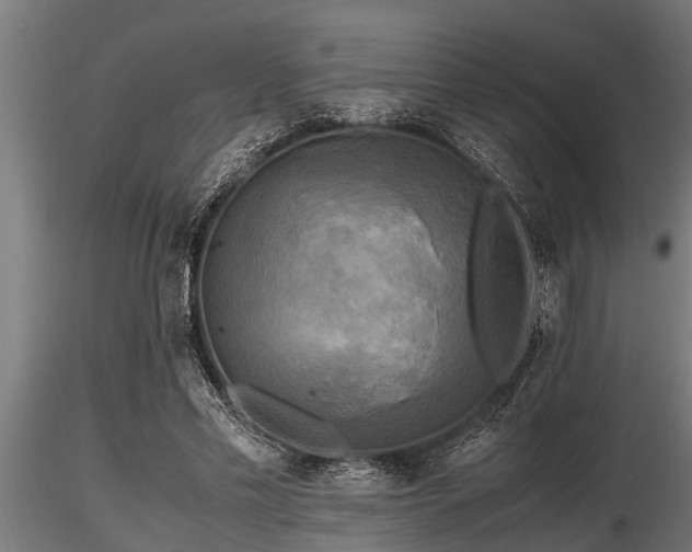 X0000116580589200912101542