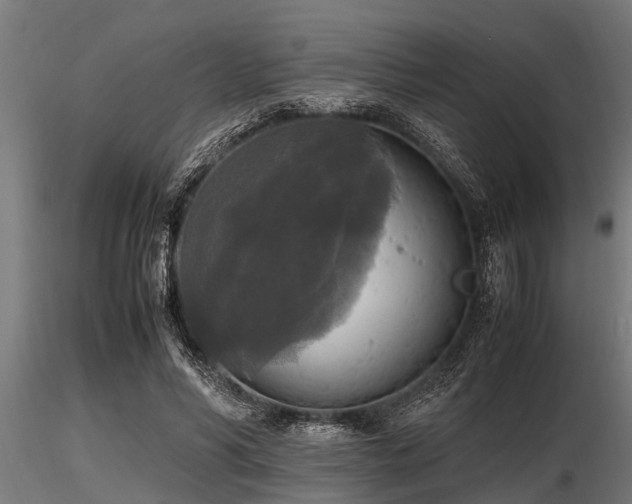 X0000116580590200912101542