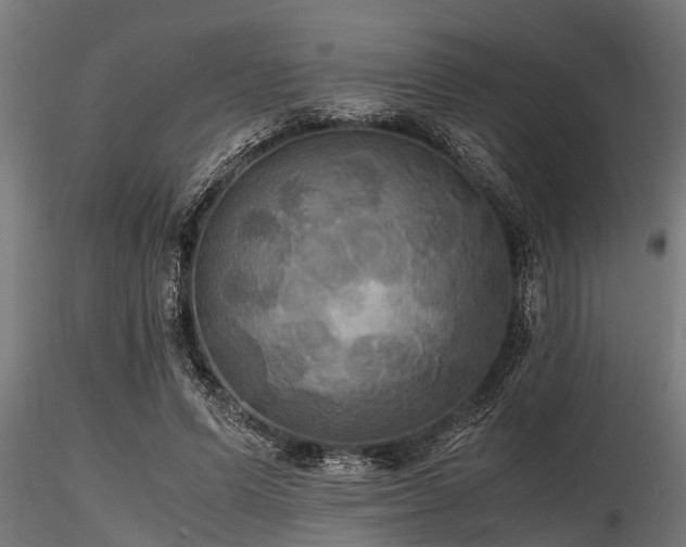 X0000116580591200912101542