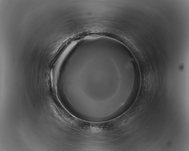 X0000116580592200912101542