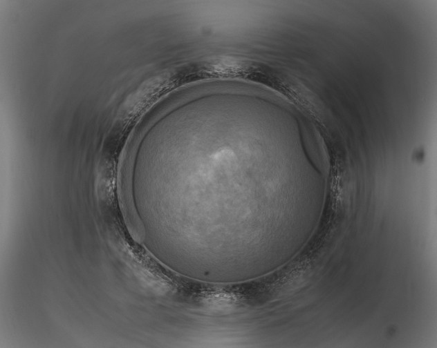 X0000116580593200912101542